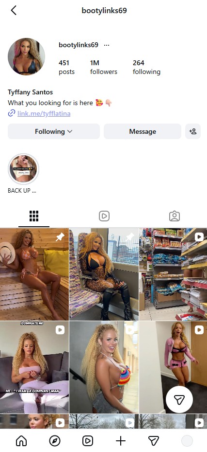 Instagram profile screenshot